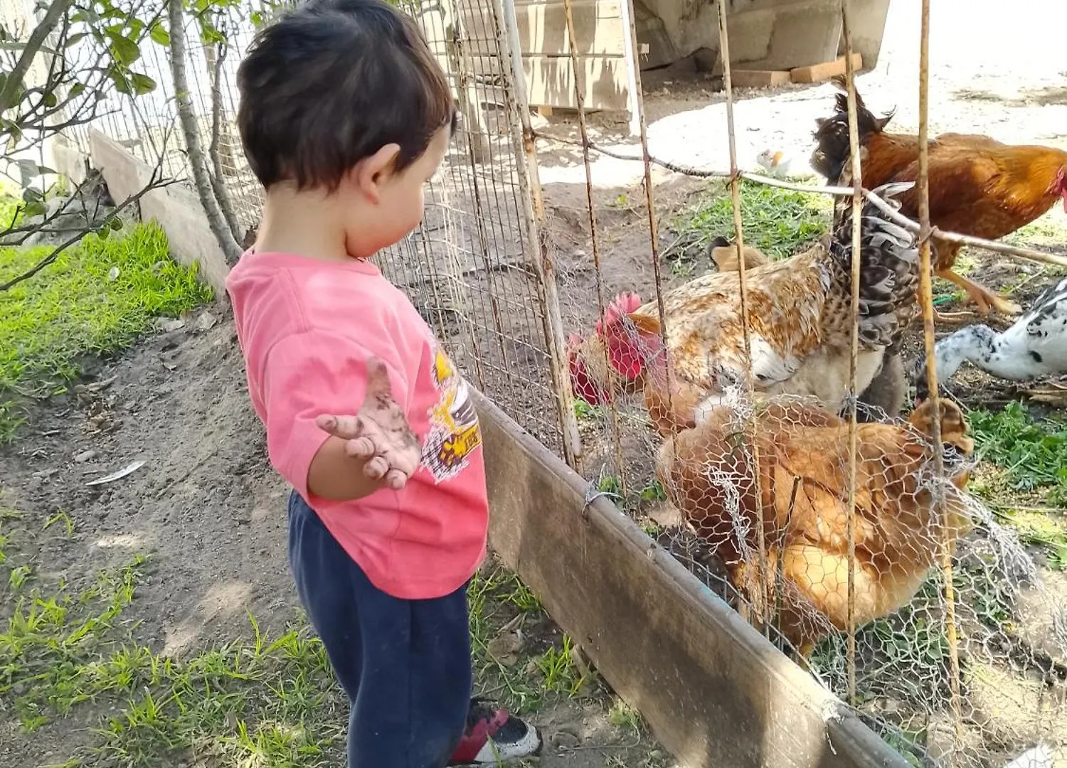 فيلا The Dream House كويتو مزرعة للإقامة
